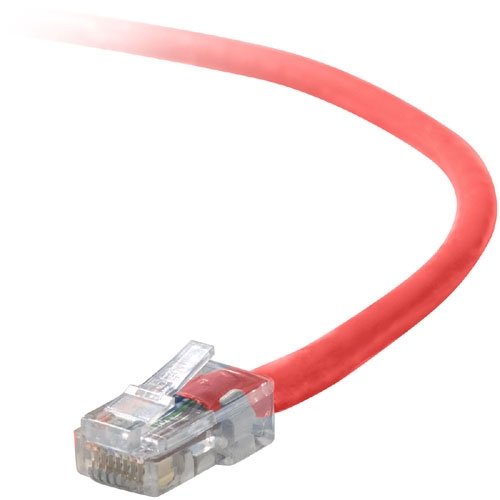 50FT CAT6 Red Patch Cord Taa