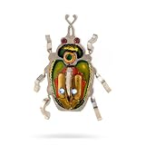 Green & Gold Scarab Pin from the Artazia Collection #9925 NP OP