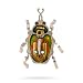 Jewelry : Green & Gold Scarab Pin from the Artazia Collection #9925 NP OP