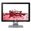 HP W2408 Vivid Color 24"  Widescreen Flat LCD Monitor with BrightView Panel