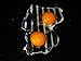 Tidy Grill - Grill Mat - SET OF 2 - PREMIUM QUALITY