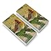 Christmas Holiday Cardinal Bird Eraser Set of 2