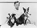 1933 BULLDOG BULL DOG PUPPIES SMOKING PIPES PHOTO