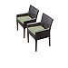 TKC Napa Wicker Patio Arm Dining Chairs in Cilantro (Set of 2)