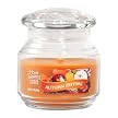Yankee Candle&reg; Home Classics Jar Candle - Autumn Festival (7oz)