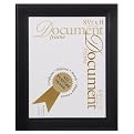 Document Frame - Black (8.5x11")