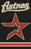 MLB Houston Astros Applique Banner Flag
