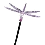 Détails sur le produit