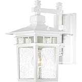 Nuvo Lighting 60/4951 Cove Neck One Light Wall Lantern/Arm Down 100 Watt A19 Max. Clear Seeded Glass White Outdoor Fixture