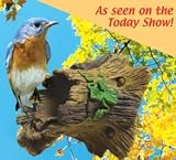 Audubon Entities/Bird Guardian Natural Bird Guardian