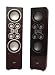 SDAT SB-E880 Hi-Fi Floorstanding Speaker Pair