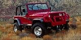 89-96 Jeep Wrangler Left Front Fender Flare - 8202