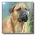 Bullmastiff - 10x10 Wall Clock