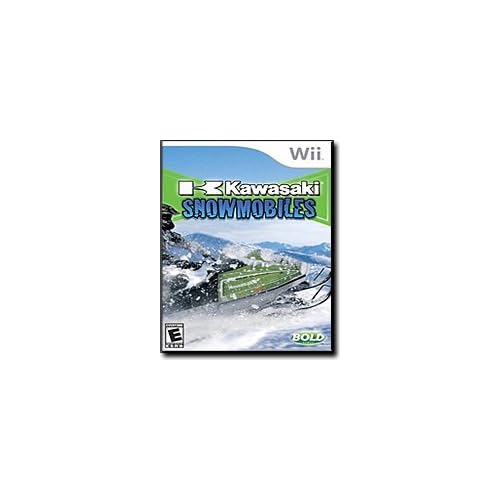 Snowmobile Video Game