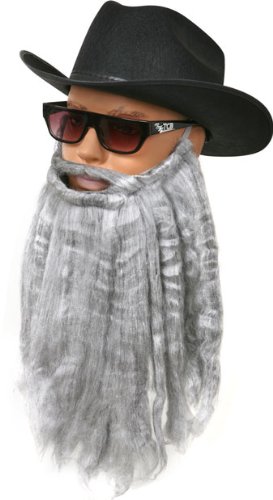 Long Grey ZZ Top Style Beard