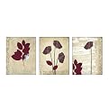 Pressed Memories Collection