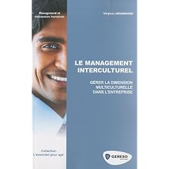 Le management interculturel - G�rer la dimension multi-culturelle dans l'entreprise