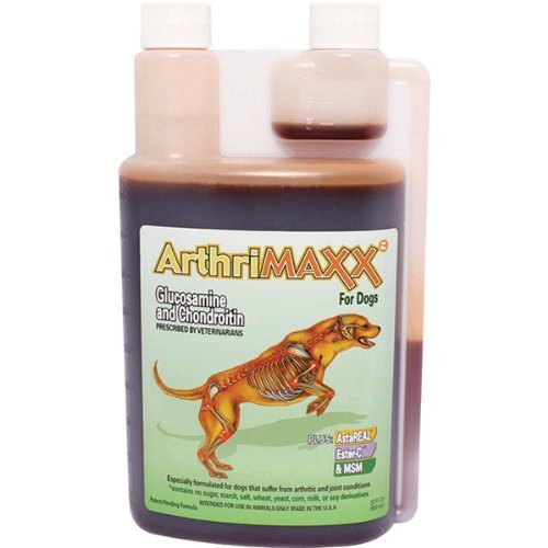 liquid joint supplement for dogs