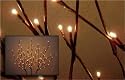 Willow Branch Lights