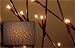 Willow Branch Lights