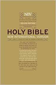Holy Bible: New International Version.: Bible English New International ...