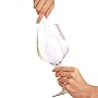 The Wine Enthusiast Stemware Brush - White