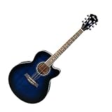 IBANEZ - AEL10E-BK - noire