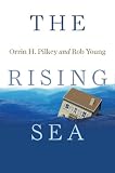 The Rising Sea