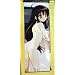 Shakugan no Shana: Cute Shana 60x165cm Wallscroll