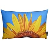 Return to product information