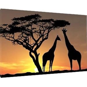 Plains Scenery