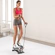 Aerobic Twisting Stair Stepper