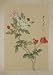 Vintage Painting Asian Art on Silk; Traditional Watercolor