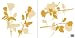 Leisurebrands, Graphic Roses D�cor Wall Sticker Image