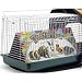 Super Pet Take Me Home Pet Carrier for Small Pets Large