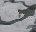 The Last Polar Bear: Facing the Truth of a Warming World