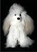 Soft Cuddly Alpaca Stuffed Animal Hand Made Pet Dog Teddy Bear APD_WHITEBROWN10_059
