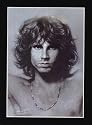 Jim Morrison DOORS hot poster shirtless lizard king oop - 11" x 17"