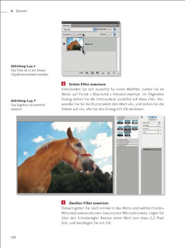 Adobe Photoshop CS4 - Der professionelle Einstieg