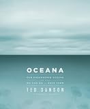 Kindle Edition Coverpage  image