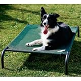 Coolaroo Steel Framed Pet Bed 3 in x 2 in - Brunswick Green Cover