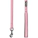 Blueberry Pet 3M Reflective Pastel Color Dog Leash with Soft & Comfortable Handle, 5 ft x 5/8