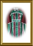 FLUMINENSE SOCCER JERSEY (BRAZIL). NEW.(LARGE)