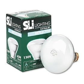SLT03201 - SLI Incandescent Indoor Floodlight