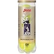 Penn ATP Regular Duty Tennis Balls Can