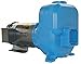 Centrifugal Pump 5 HP 12/6 Amps