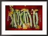 Squash, with blossoms still attached, lie in a red basket Framed Art Poster Print by Jodi Cobb, 29x21