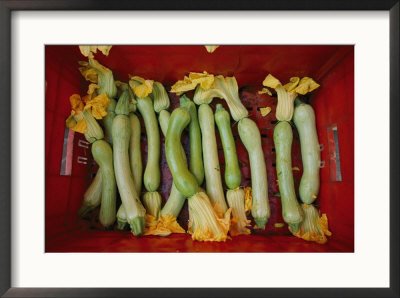 Squash, with blossoms still attached, lie in a red basket Framed Art Poster Print by Jodi Cobb, 29x21