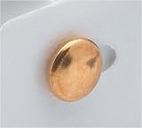 Pair of Collar Studs