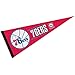 Wincraft NBA Philadelphia 76ers WCR63843915 Carded Classic Pennant, 12